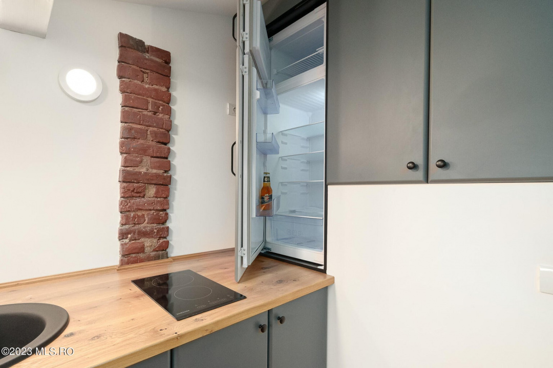 COTROCENI-GRADINA BOTANICA STUDIO LA CHEIE, 33 MP!