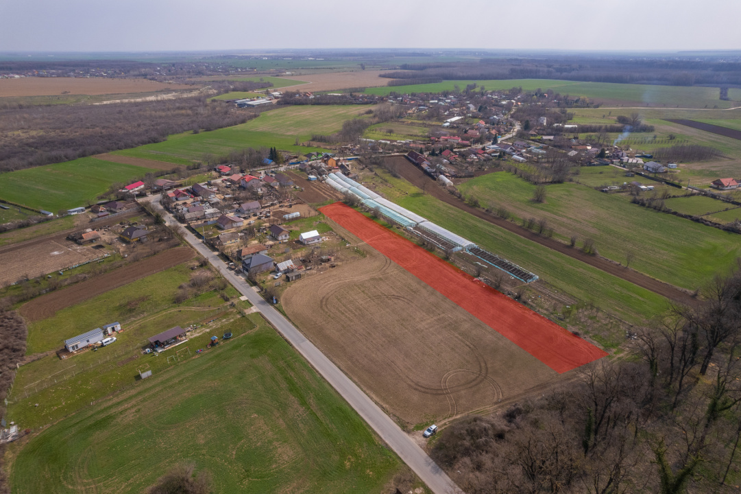 NUCI - BALTA NEAGRA, LOT 3080 MP, LA PADURE!