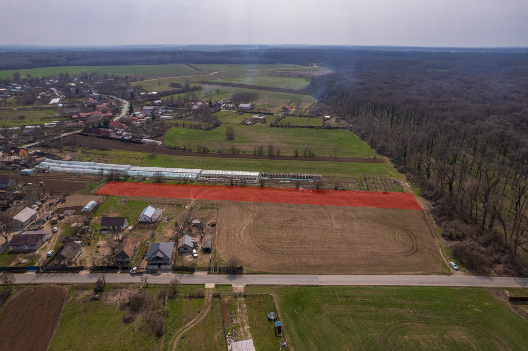 NUCI - BALTA NEAGRA, LOT 3080 MP, LA PADURE!