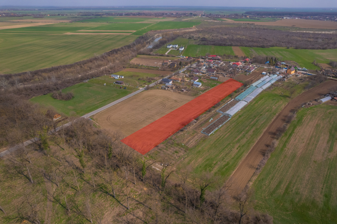 NUCI - BALTA NEAGRA, LOT 3080 MP, LA PADURE!