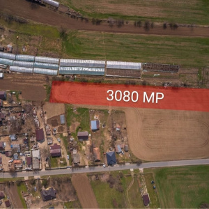 NUCI - BALTA NEAGRA, LOT 3080 MP, LA PADURE!